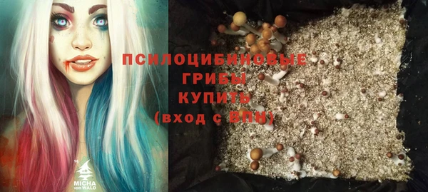 дживик Навашино